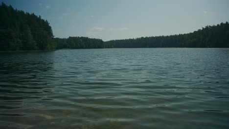 Summer-breeze-on-large-freshwater-forest-lake-flows-to-shallow-shore