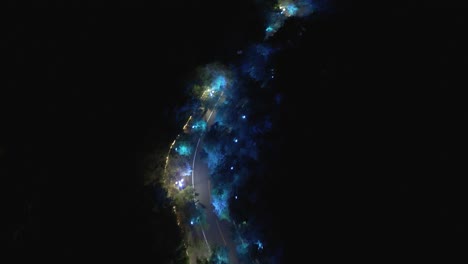 Luftaufnahme-Nach-Farbwechselnden-Beleuchteten-Bäumen-Entlang-Der-Dunklen-Straße-In-Der-Stadt-Daegu-Bei-Nacht