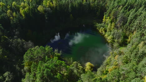 Aerial-view-of-small-round-green-lake-in-the-woods