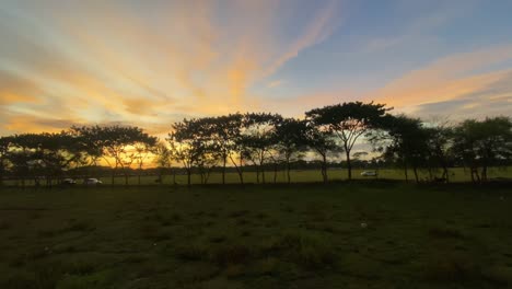 Beautiful-meadow-field-landscape-in-Sylhet,-wonderful-sunset-sky,-pan-left