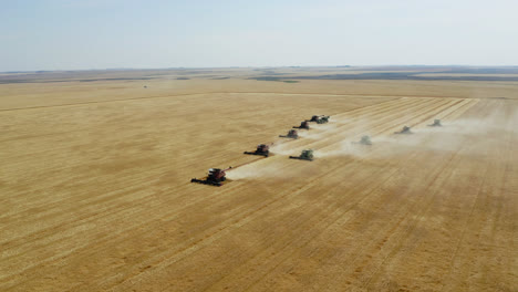 Many-Combine-Harvesters-Harvesting-On-A-Dusty-Field-in-Saskatchewan,-Canada