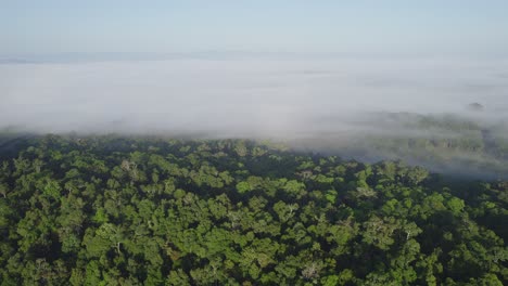 Lush-Tropical-Vegetation-Surrounding-Lake-Barrine-In-Atherton-Tableland,-Far-North-Queensland,-Australia---aerial-shot