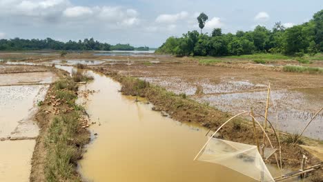 Blick-Auf-Schlammige-überflutete-Reisfelder-Im-Ländlichen-Bangladesch-Mit-Kleinem-Fluss