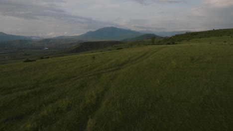 Schnelle-Fliege-Auf-Sanften-Hügeln-Mit-Immergrüner-Landschaft-An-Einem-Nebligen-Morgen-In-Georgia