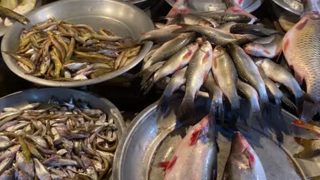 Roher-Frischer-Fisch-In-Großen-Metallschüsseln-Auf-Dem-Markt-In-Sylhet