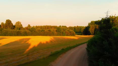 Aerial-view-of-a-forest-side-road-opening-into-a-grassy-meadow-at-dawn