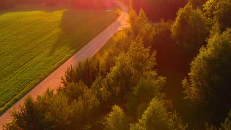 Aerial-drone-view-of-forest-with-a-meadow-next-to-a-dirt-road-footpath-under-sunset-sunlight