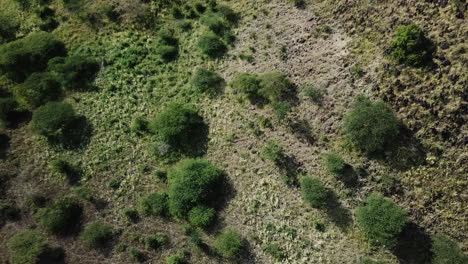Drone-view-zooming-away-from-hikers-with-Sherpas-climbing-a-green-mountain-in-East-Africa