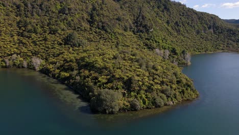 Steep,-overgrown-shore-of-Lake-Tarawera,-New-Zealand