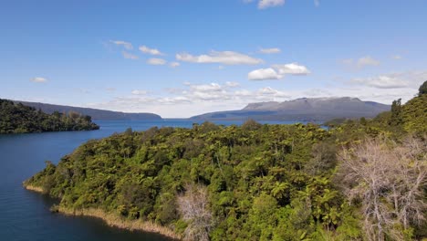 Flying-over-lush-lake-shore,-overgrown-by-a-dense-palm-tree-vegetation-to-reveal-majestic-mount-Tarawera