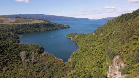 Steep-and-rugged-cliffs-that-are-covered-by-a-dense-palm-tree-forest-falling-off-to-the-stunning-blue-lake-Tarawera,-New-Zealand