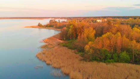 Wonderful-aerial-view-of-fall-autumn-orange-forest-by-lake-Jugla-in-Riga