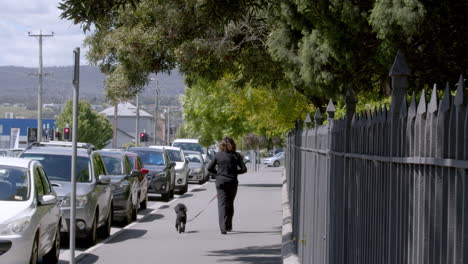 Woman-walking-her-dog-on-a-side-walk-in-LST-Park-during-a-sunny-day