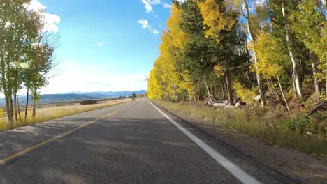 Drive-Plate---Highway-14-Colorado---Vivid-colored-aspens-line-the-highway-in-the-wall,-range-land-on-the-opposite-side