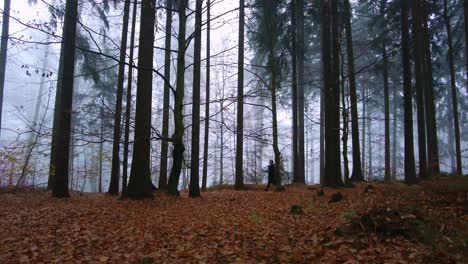 Man-walks-on-dry-fallen-leaves-in-the-forest