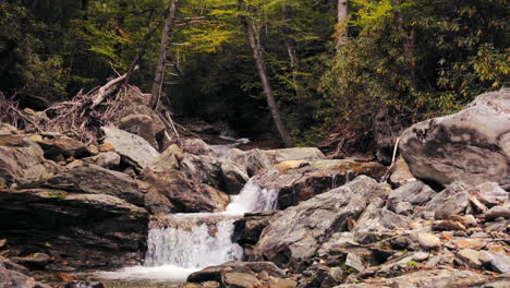 Flowing-babbling-brook-and-cascading-water-at-Shinning-Rock-Wilderness,-North-Carolina