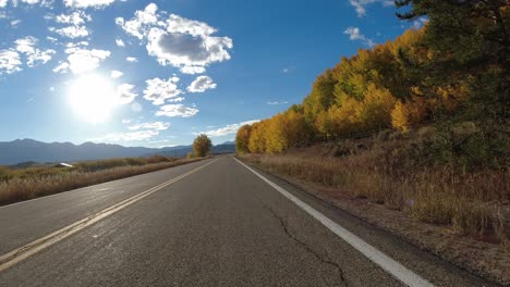 Driving-plate---Highway-14-in-Colorado-during-the-fall,-golden-and-orange-aspen-trees-along-the-highway