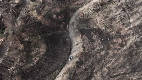 Top-View-Of-Car-Driving-On-Rural-Path-Between-Burnt-Forest-In-El-Pont-de-Vilomara,-Spain---aerial-drone-shot