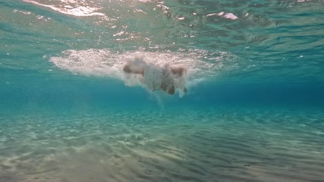 Unterwasserszene-Eines-Kleinen-Mädchens,-Das-Im-Kristallklaren-Azurblauen-Tropischen-Meerwasser-Einer-Exotischen-Insel-Schwimmt-Und-Spaß-Hat
