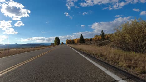 Driving-Plate---Highway-14-in-Colorado-during-a-beautiful-fall,-golden-aspen-trees-on-one-side,-rural-farmland-on-other