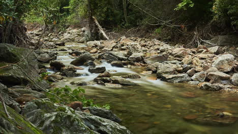 A-creek-flowing-through-the-shadows-of-the-forest-floor---long-exposure-time-lapse