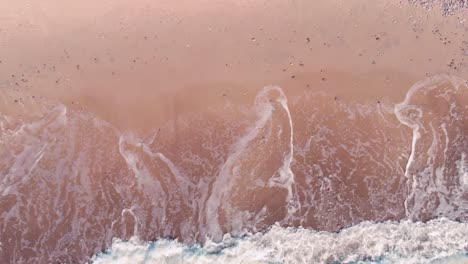 Overhead-top-down-view-of-tropical-pink-beach-with-wave-creating-white-foam