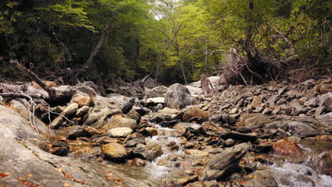 A-rocky-babbling-brook-flowing-through-a-deciduous-forest---static-view