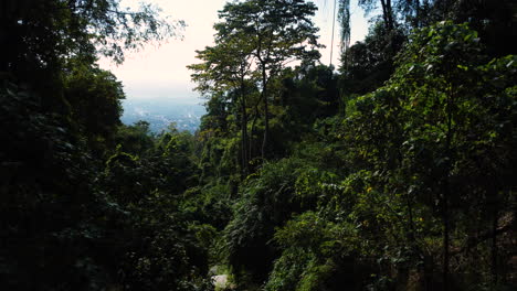 Aerial-view-inside-vietnamese-ancient-tropical-lush-jungle