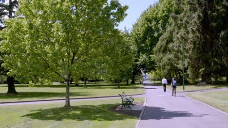 People-walking-on-road-in-the-middle-of-the-city-park-with-shady-trees