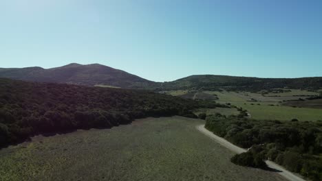 Drone-Aéreo-Que-Se-Eleva-Sobre-El-Campo-Verde-Vacío-Agrícola,-Estilo-De-Vida-Rural