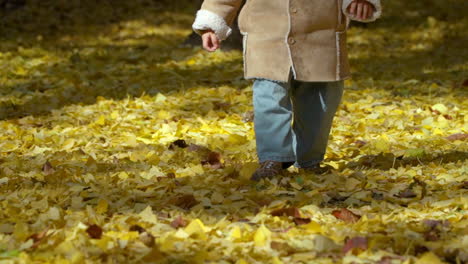 Little-Kid-Walking-on-Autumn-Golden-Fallen-Leaves-in-a-Park-in-Slow-motion