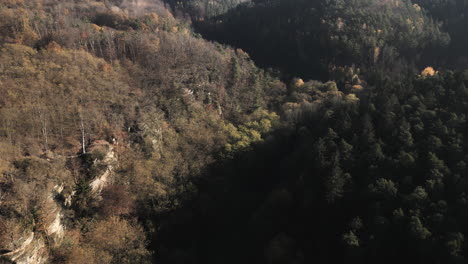 Luftaufnahme-Eines-Bewaldeten-Tals-Im-Kokorin-Gebiet