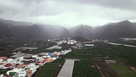 Banana-cultivation-field-countryside-with-mountain-background,-aerial