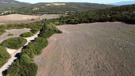 Vista-Aérea-De-Drones-Del-Campo-Agrícola-Seco-En-Una-Soleada-Mañana-De-Verano,-Hacia-Adelante