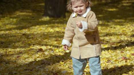 Cute-Little-Girl-Pick-up-Ginkgo-Biloba-Yellow-Fallen-Leaf-From-The-Ground-In-Autumn-Park-In-slow-motion