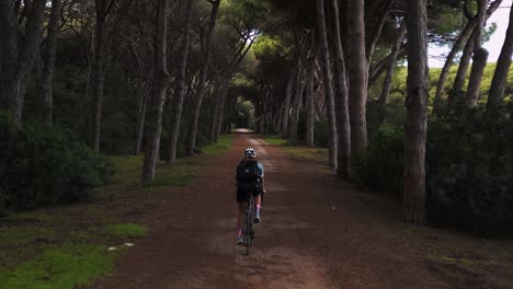 One-young-sporty-woman-cycling-with-a-racing-bike-in-a-pine-tree-forest