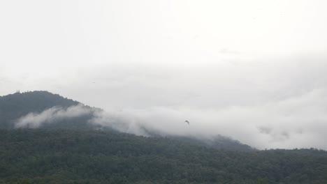 Vista-Verde-Natural-De-La-Cordillera-Verde-Con-Algo-De-Niebla-Nubosa-En-El-Fondo,-Vista-Natural-Del-Paisaje-De-La-Temporada-De-Lluvias-En-Chiang-Mai