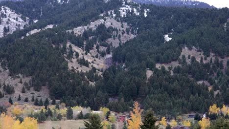Bosque-En-Una-Montaña-En-Bozeman-Montana-4k