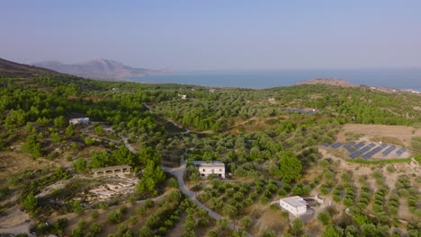 Aerial-pullback-riser-over-vast-olive-groves-close-to-coastline,-Pilonas,-Rhodes