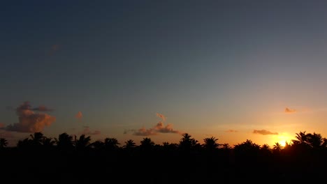 Drohnensonnenuntergang-Auf-Der-Karibischen-Insel-Trinidad-Und-Tobago,-Drohnenfliegen-über-Kokospalmen,-Die-Den-Sonnenuntergang-Betrachten