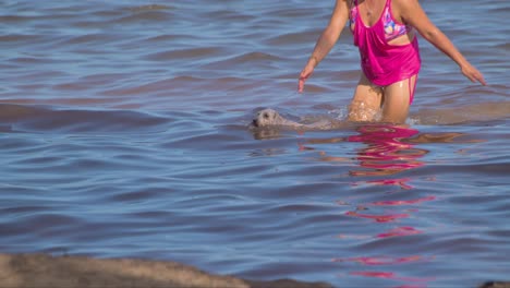Weißer-Schnauzer-Hund-Schwimmt-Zurück-Zum-Ufer,-Gefolgt-Von-Ihrem-Besitzer,-Einer-Lateinischen-Frau-In-Einem-Rosa-Bikini