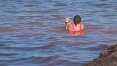 Latin-woman-with-her-white-schnauzer-dog-swimming-in-the-sea-on-a-hot-summer-day