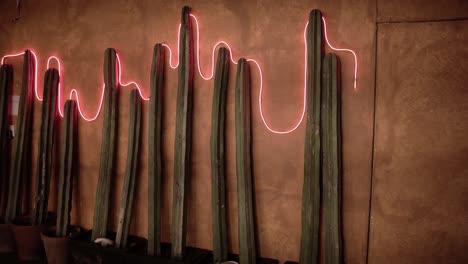 Cactus-decorations-on-the-wall
