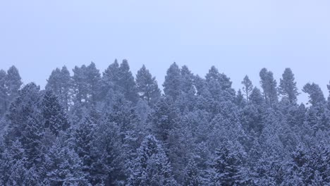 árboles-Nevados-En-La-Ladera-De-La-Montaña-En-Bozeman-Montana-Durante-La-Temporada-De-Invierno-4k-Cámara-Lenta