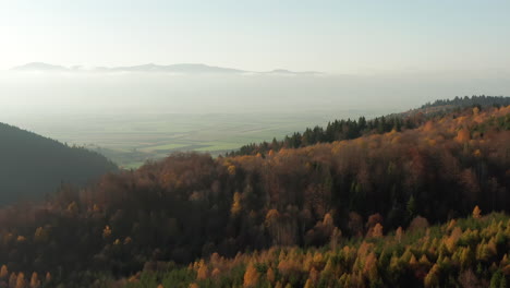 Flyover-above-scenic-autumn-landscape-towards-valley-covered-in-fog