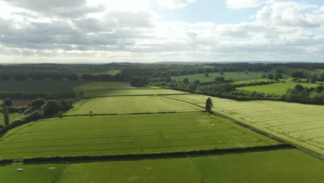 Strong-wind-blowing-across-green-crop-fields-causing-waves-in-countryside-from-drone-view