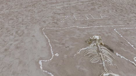 Message-on-Sandy-Beach-by-Zeila-Shipwreck-on-Namibia's-Skeleton-Coast
