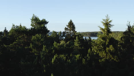 4K-Drohne-Bewegte-Aufnahme-Eines-Großen,-Schönen-Grünen-Waldes-Neben-Einem-Blauen-See-In-Schweden
