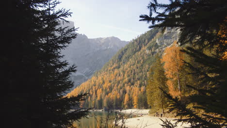 Sich-Vorwärts-Bewegender-Schuss-Aus-Dem-Wald-Mit-Dem-Pragser-Wildsee-Im-Hintergrund,-Italien