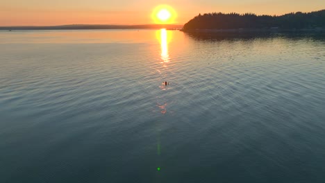 Aerial-drone-view-of-young-couple-paddling-off-into-the-sunset-in-a-sea-kayak-in-bay-near-seattle-washington-at-sunrise